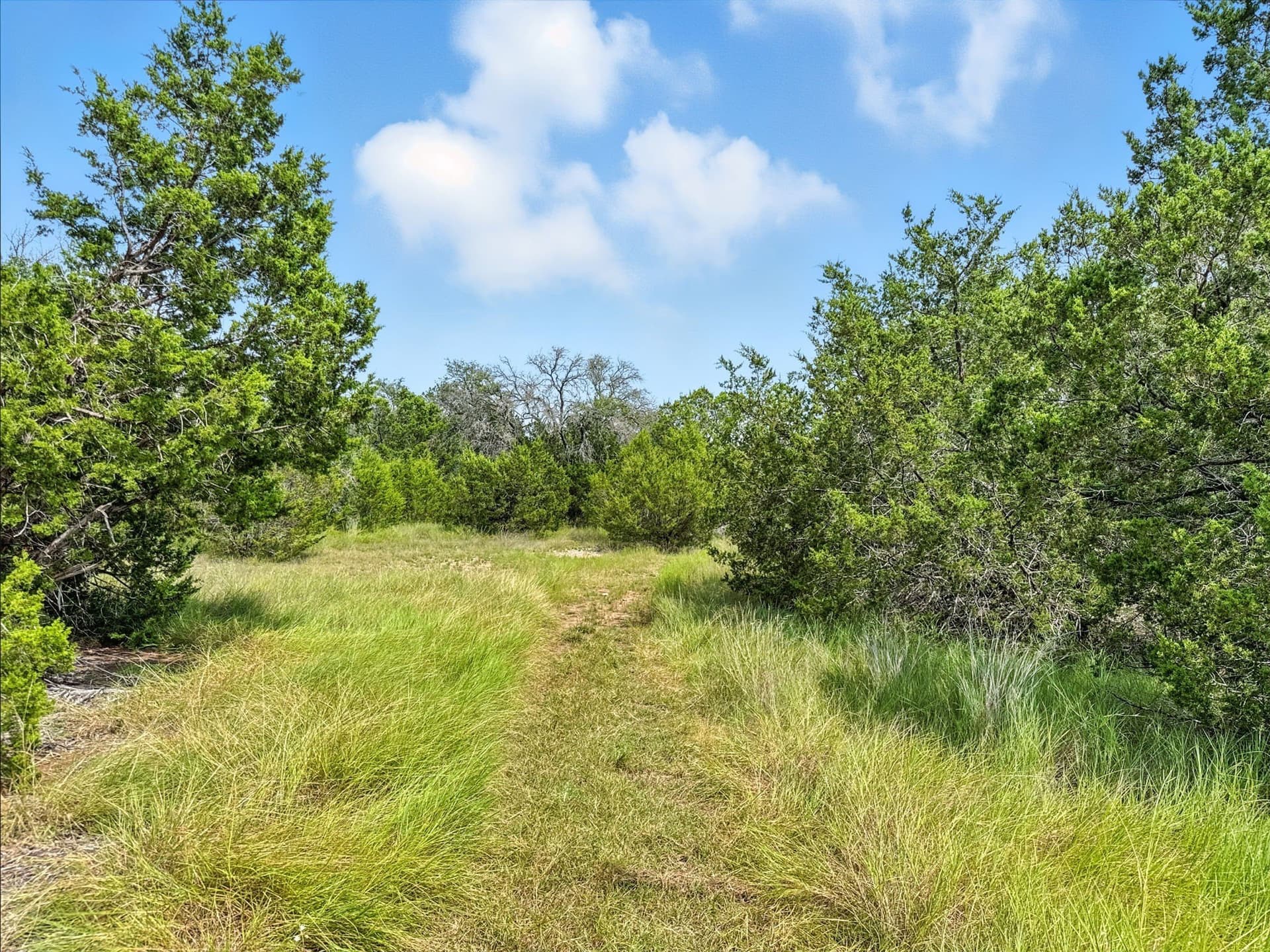 10.01 acres in Hamilton County - photo 13