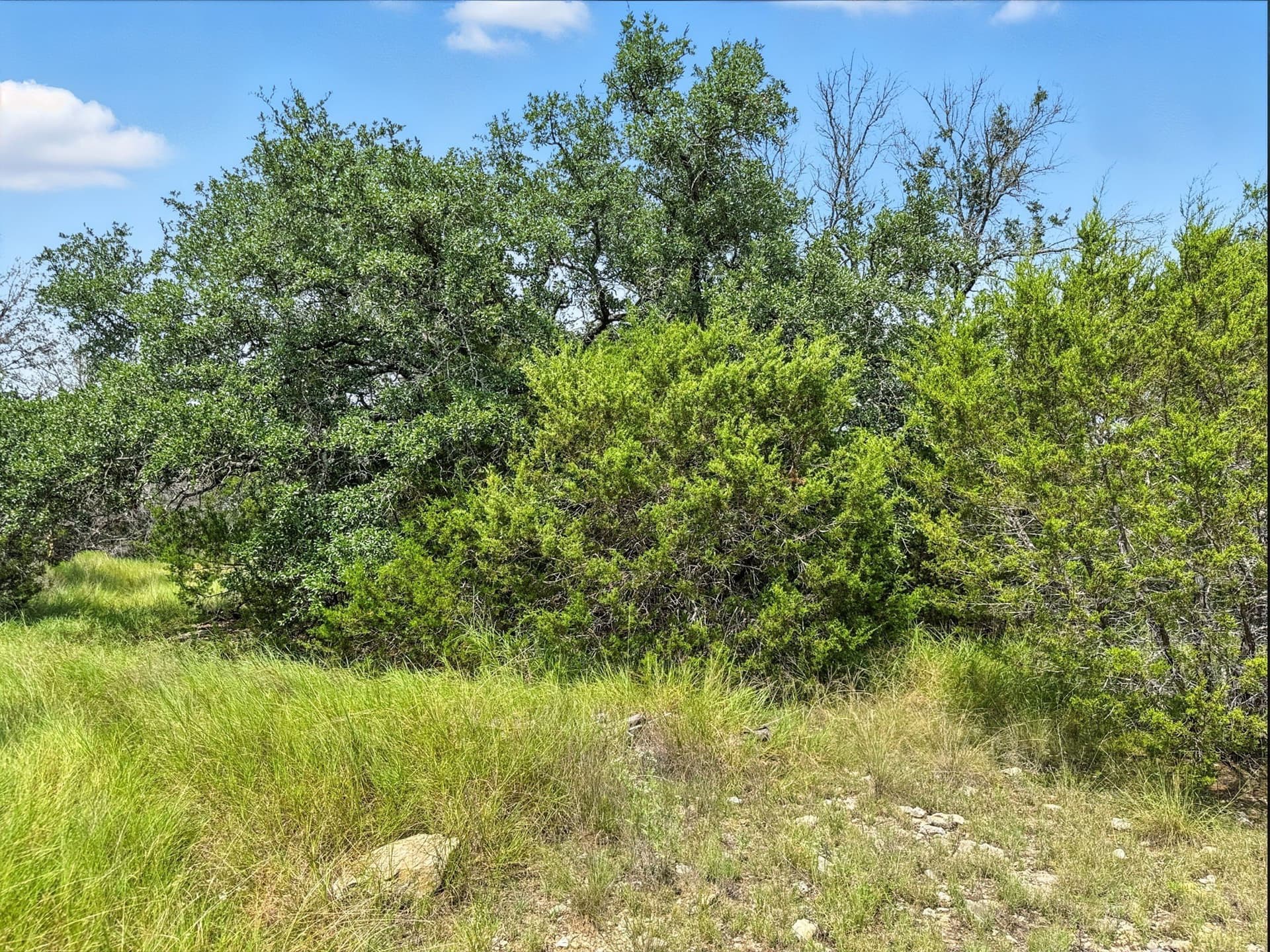 10.01 acres in Hamilton County - photo 19