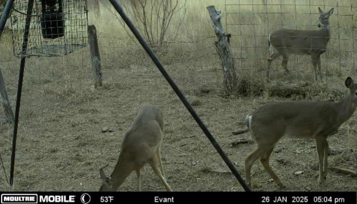 10.01 acres in Hamilton County - photo 22