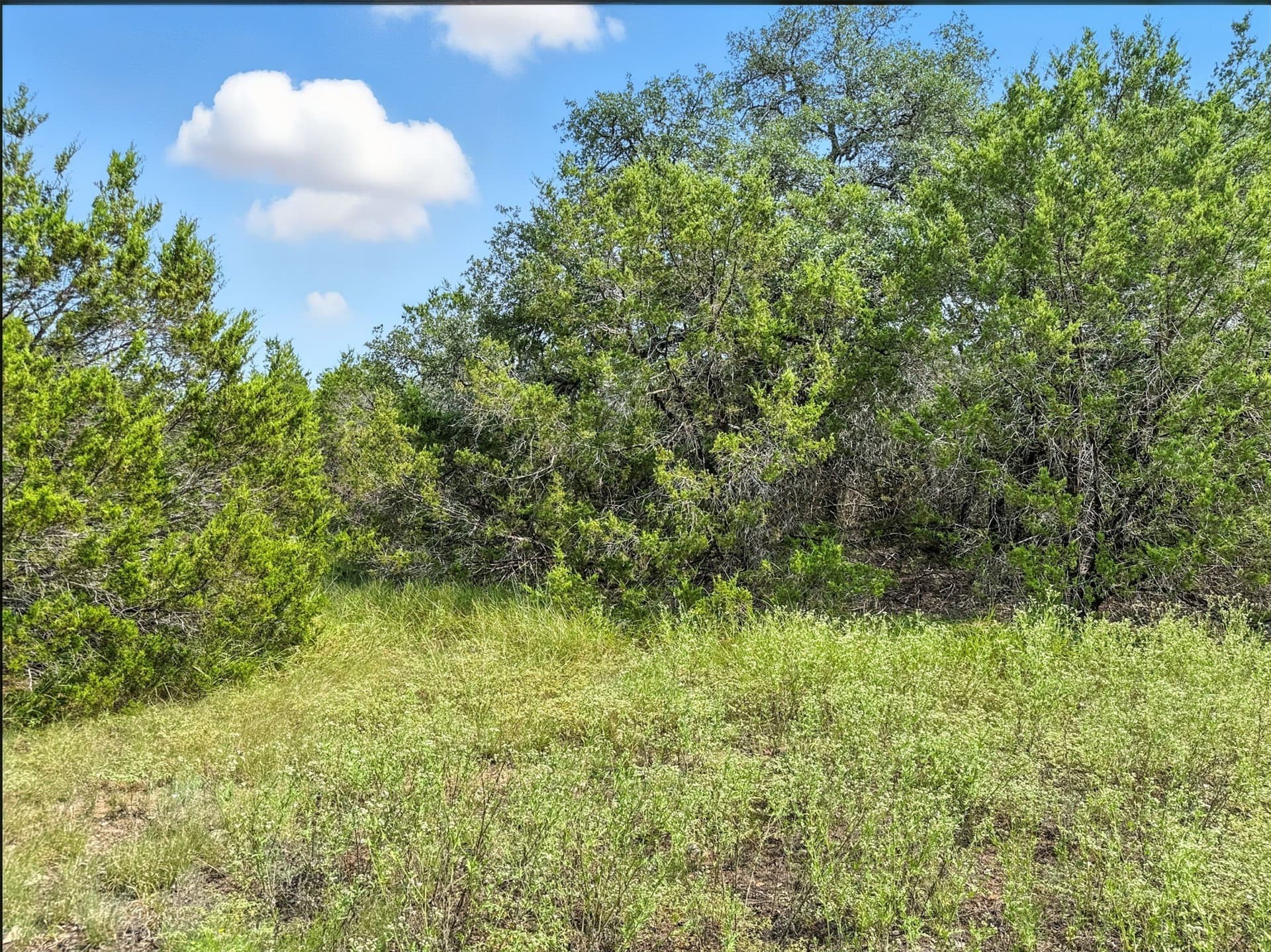 10.01 acres in Hamilton County - photo 14