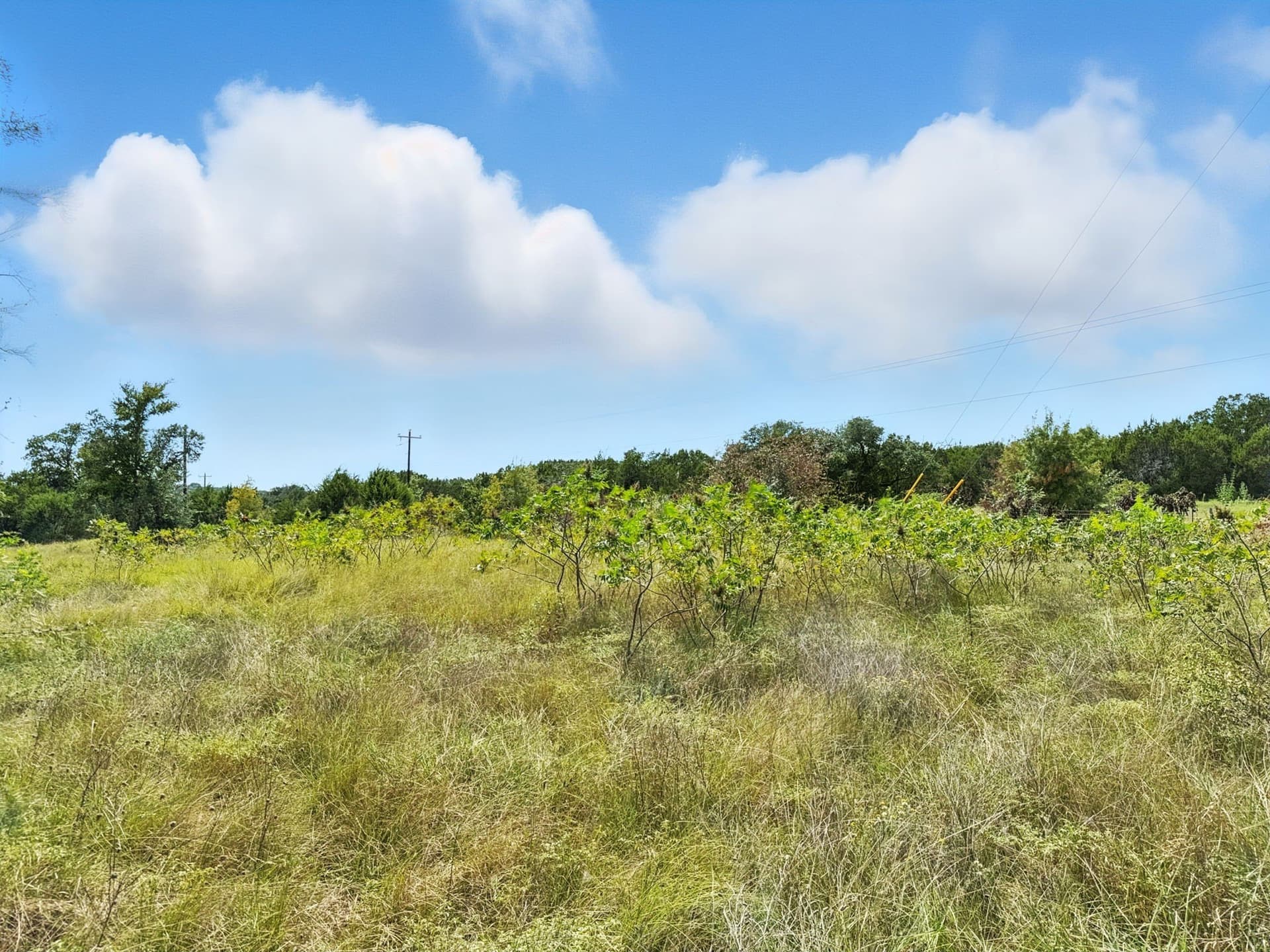 10.01 acres in Hamilton County gallery image 2