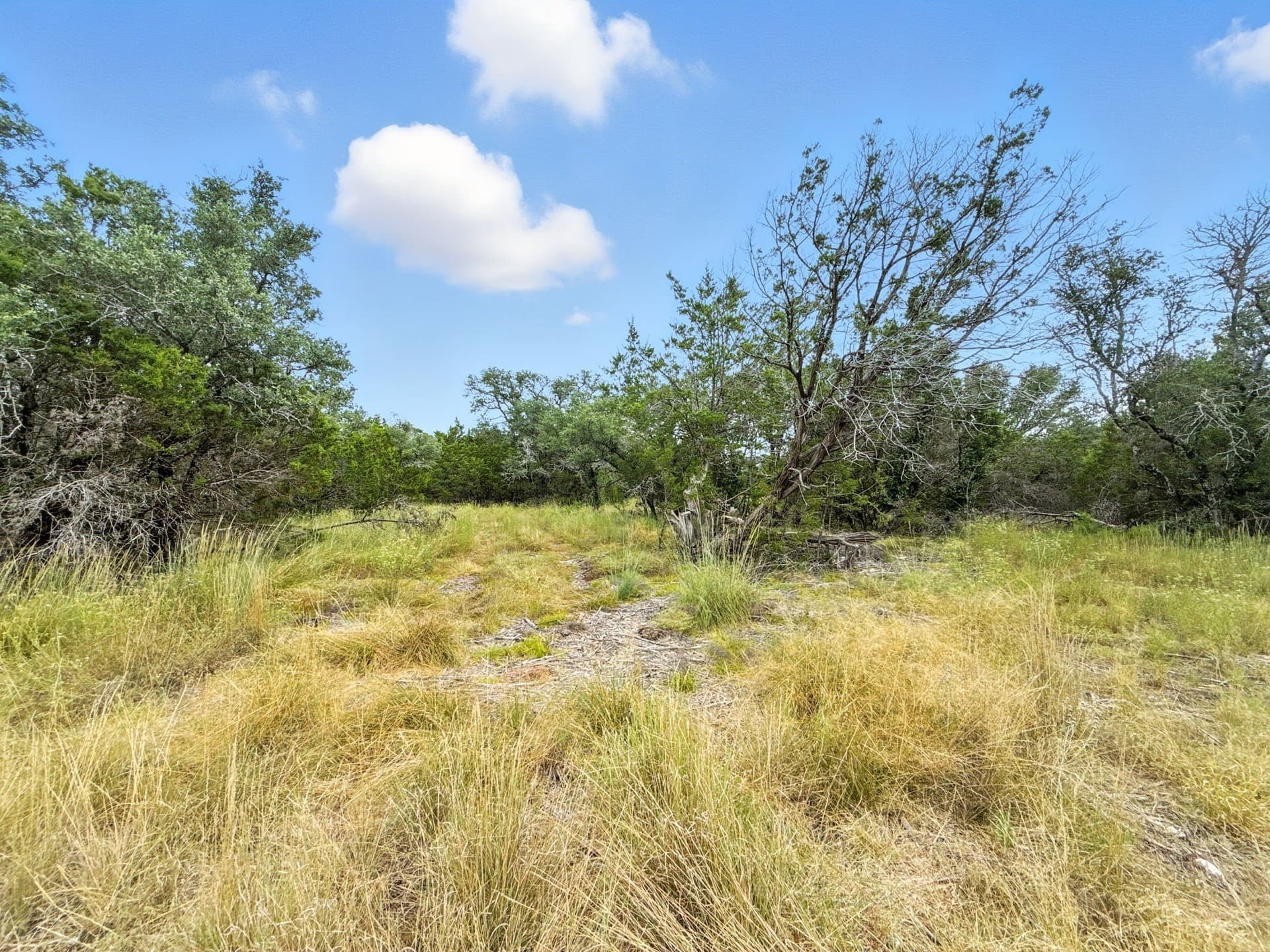10.01 acres in Hamilton County - photo 10
