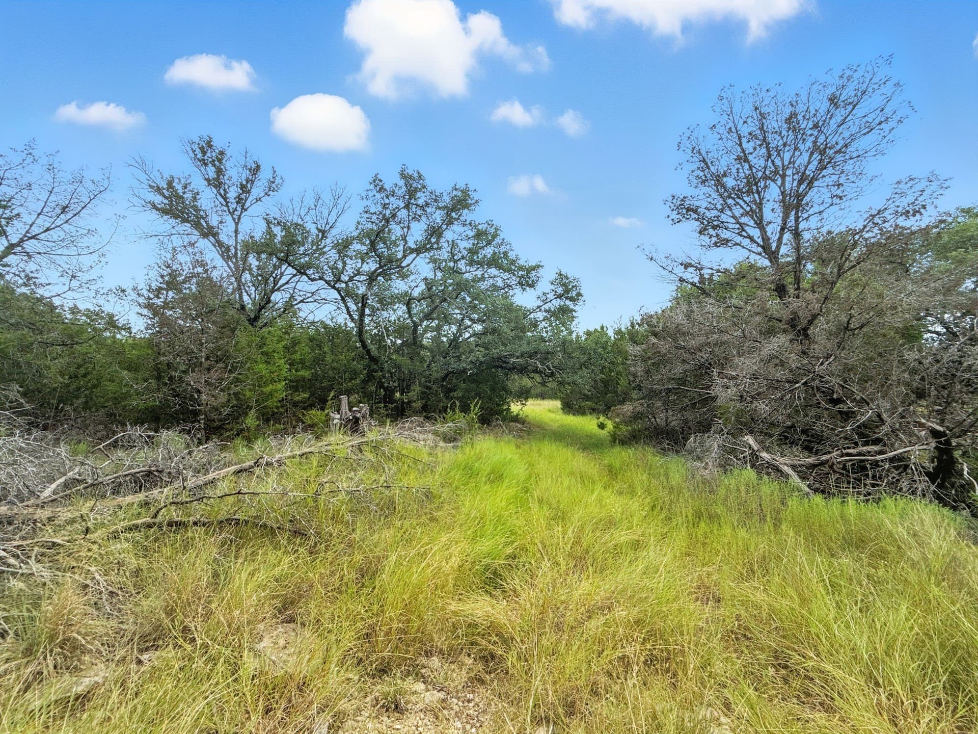 10.01 acres in Hamilton County - photo 9