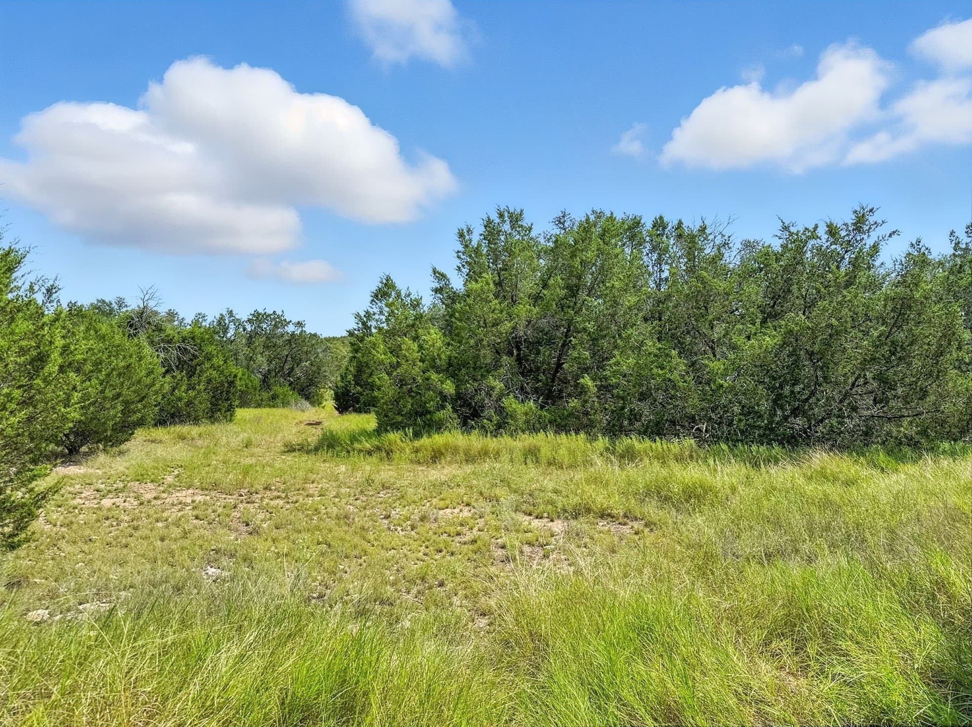 10.01 acres in Hamilton County - photo 12