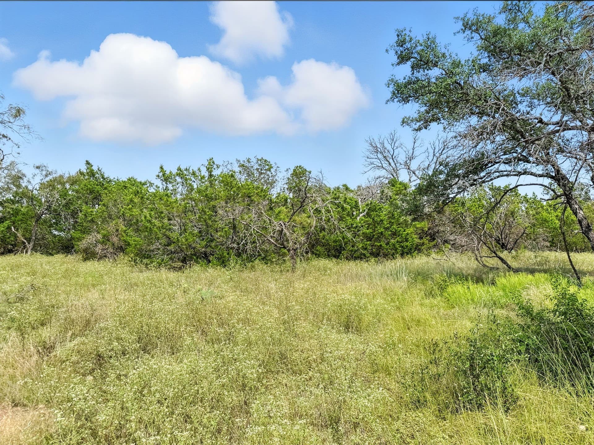 10.01 acres in Hamilton County - photo 20