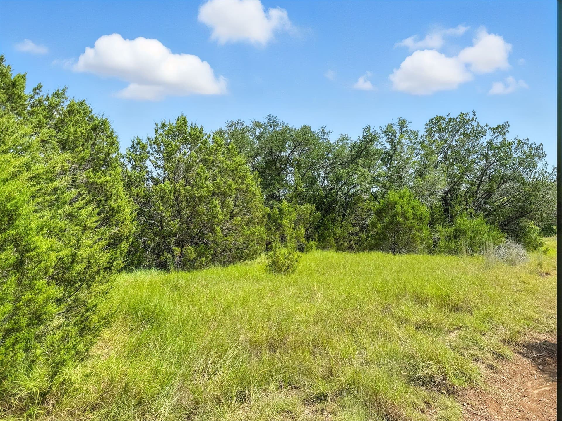 10.01 acres in Hamilton County - photo 16