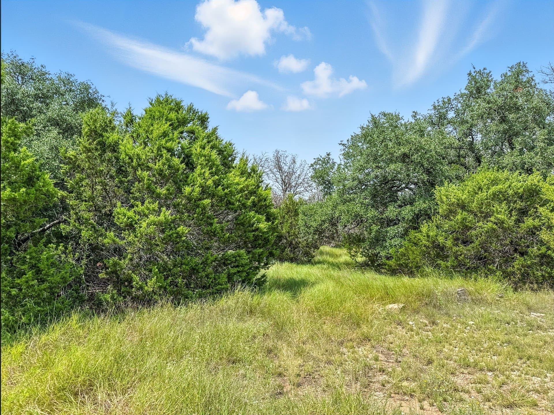 10.01 acres in Hamilton County - photo 18
