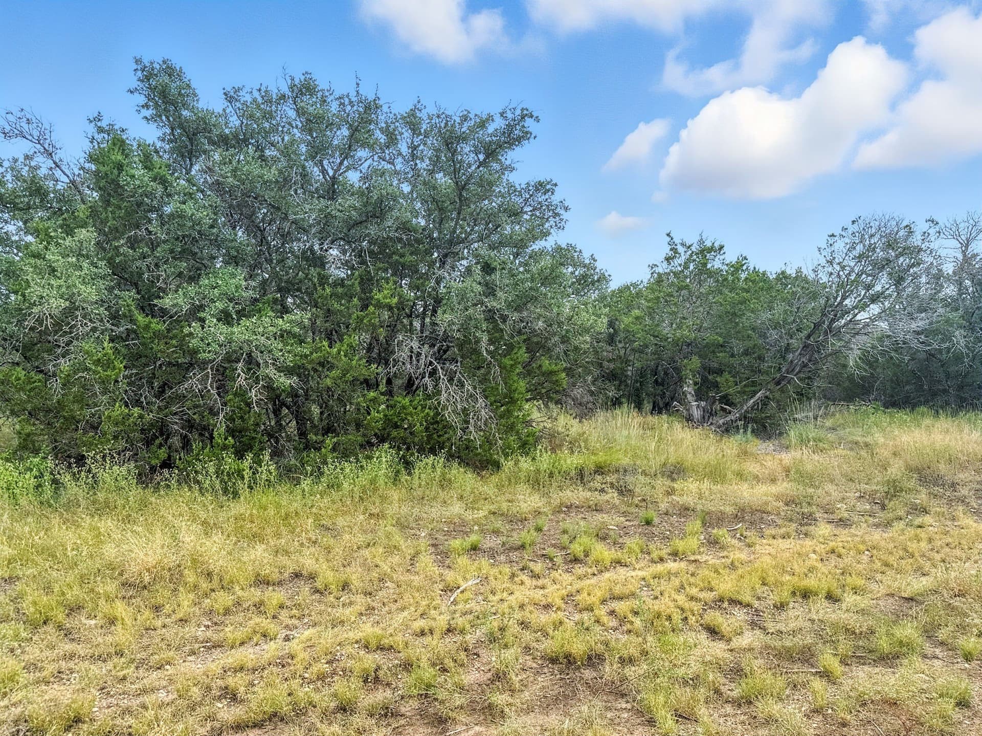 10.01 acres in Hamilton County - photo 6