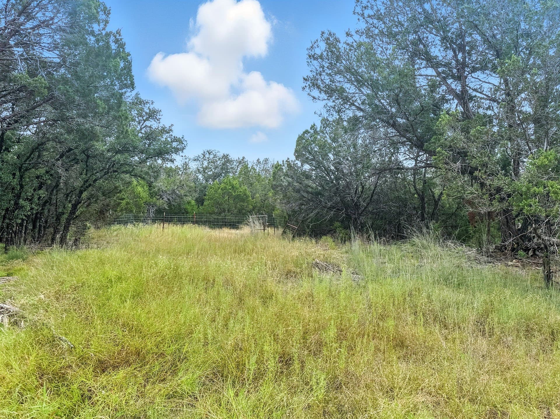 10.01 acres in Hamilton County - photo 7