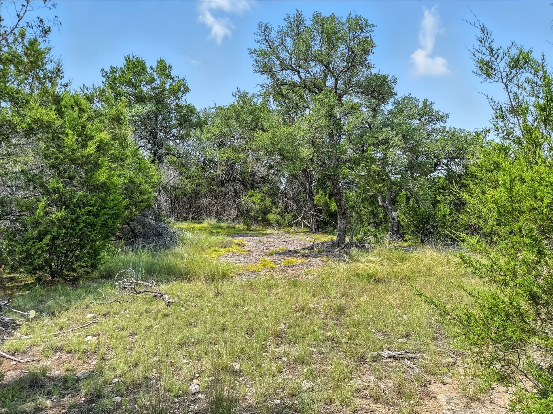 10.01 acres in Hamilton County - photo 15