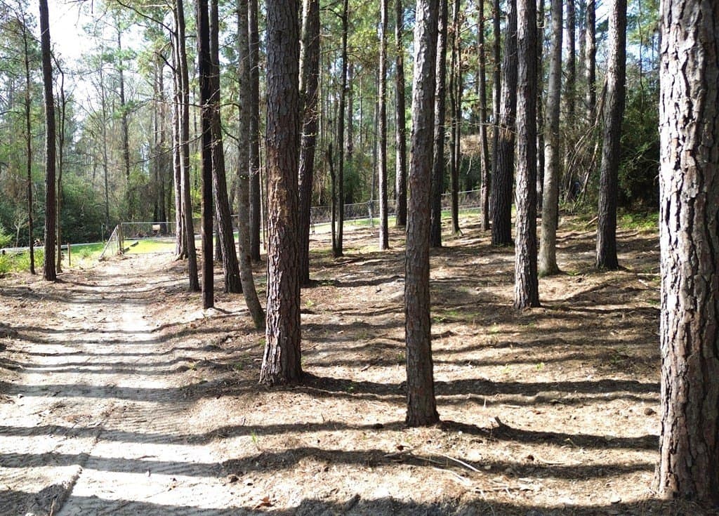 0.5 acres in Texas County - photo 9
