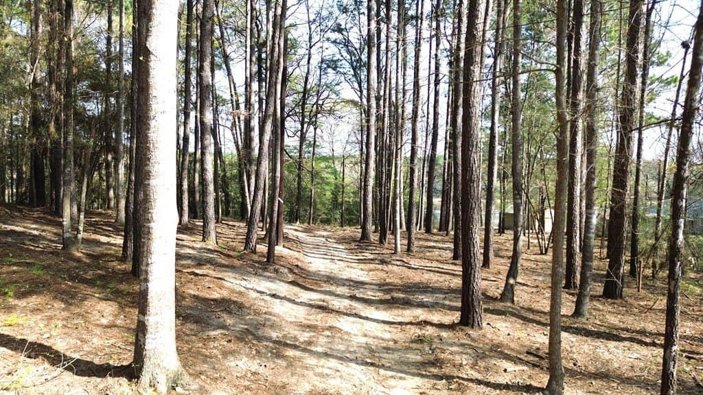 0.5 acres in Texas County - photo 7