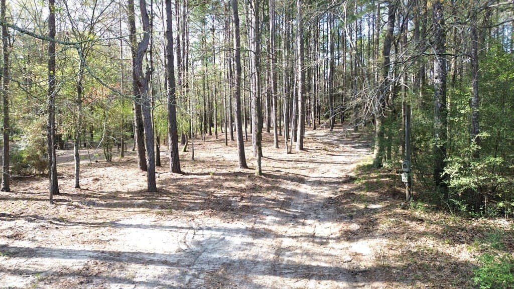 0.5 acres in Texas County - photo 11