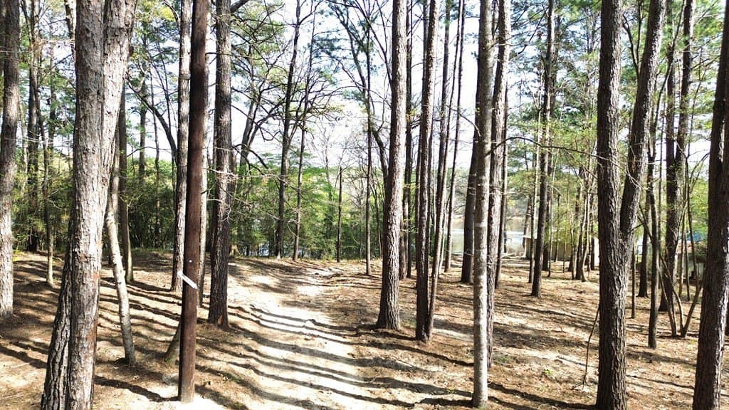 0.5 acres in Texas County - photo 8