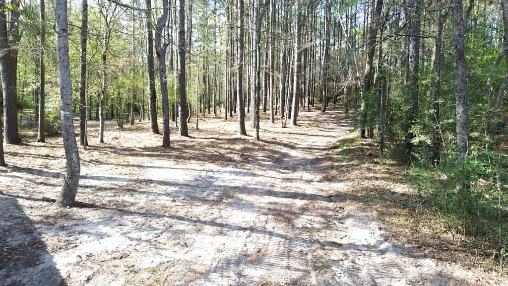 0.5 acres in Texas County - photo 13
