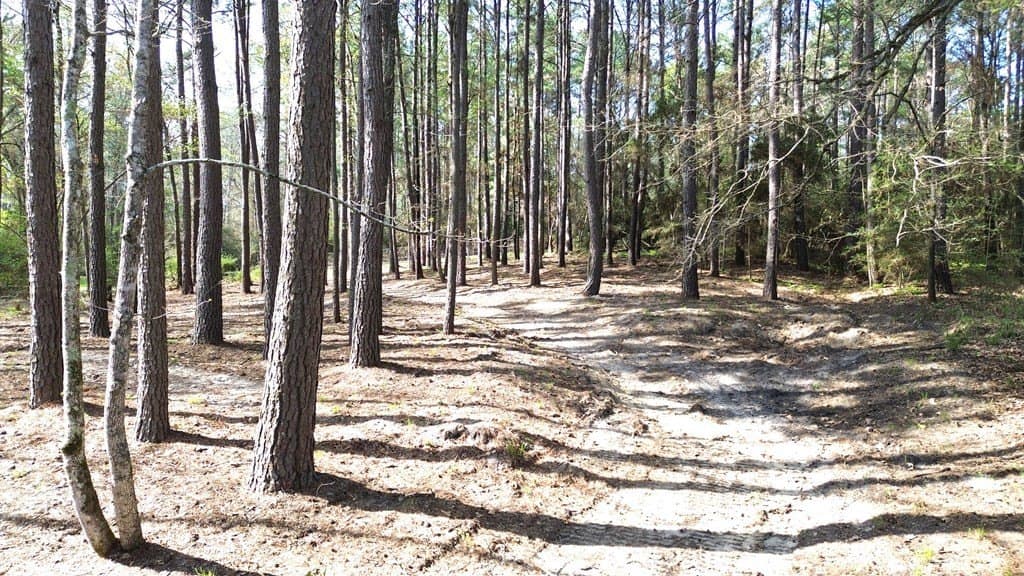 0.5 acres in Texas County - photo 10