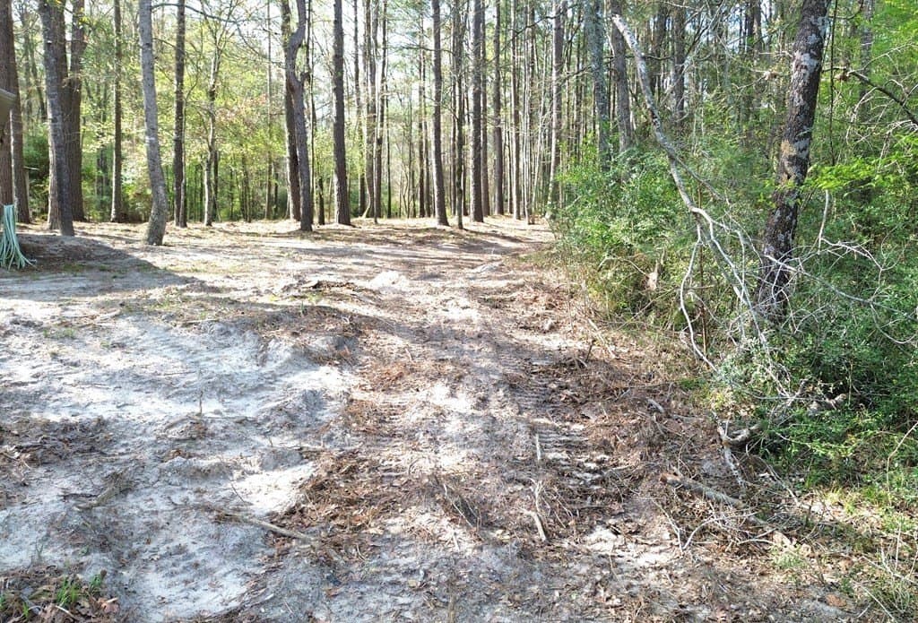 0.5 acres in Texas County - photo 12