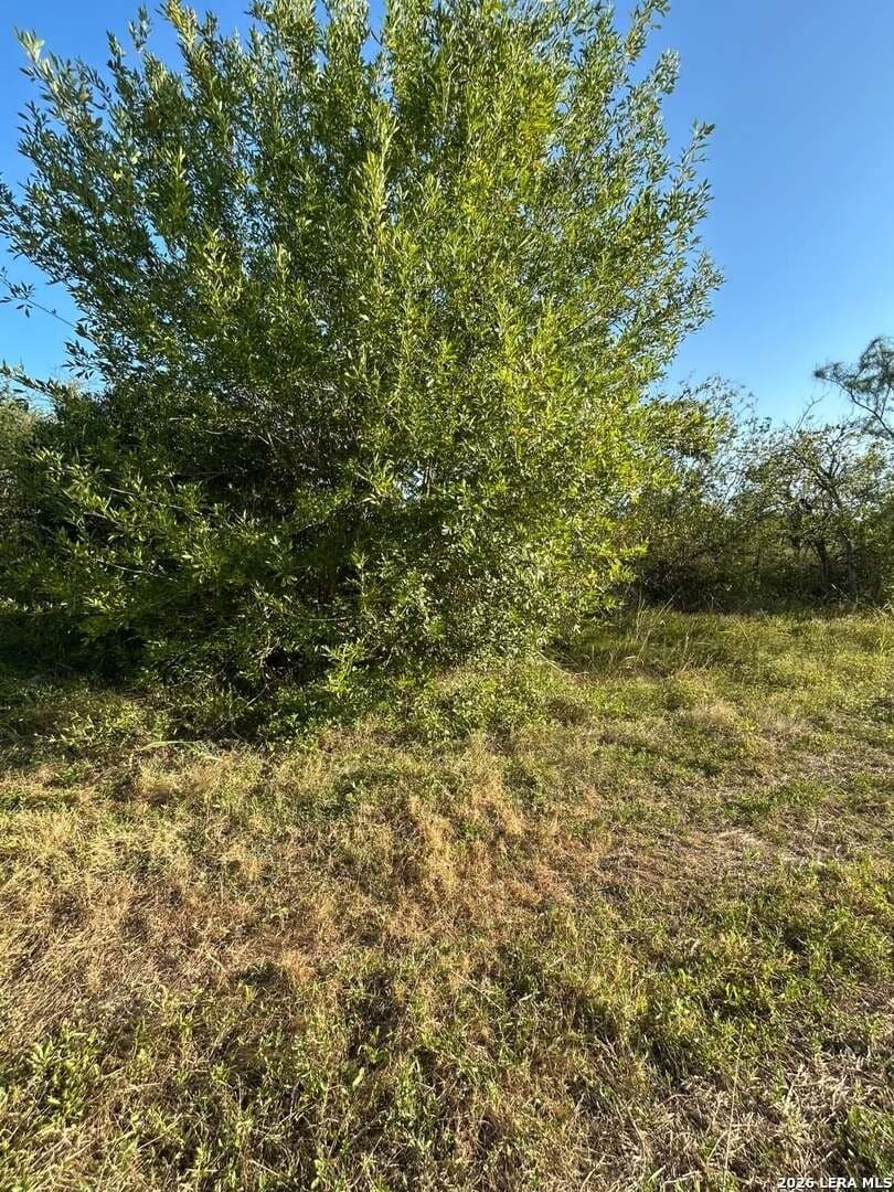 0.16 acres in Bexar County - photo 2