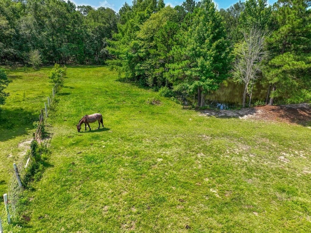 17.09 acres in HOUSTON County - photo 40