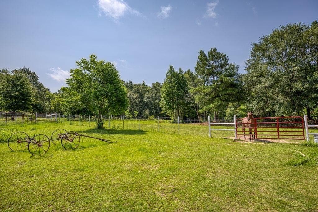 17.09 acres in HOUSTON County - photo 39
