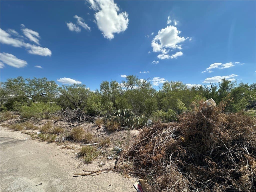 0.51 acres in Duval County gallery image 2