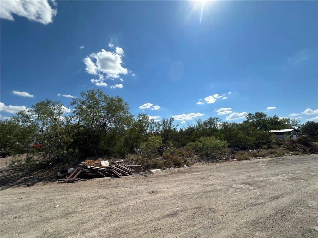 0.51 acres in Duval County gallery image 3
