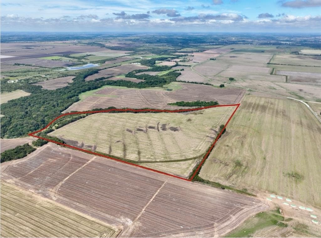 90.18 acres in Ellis County gallery image 4