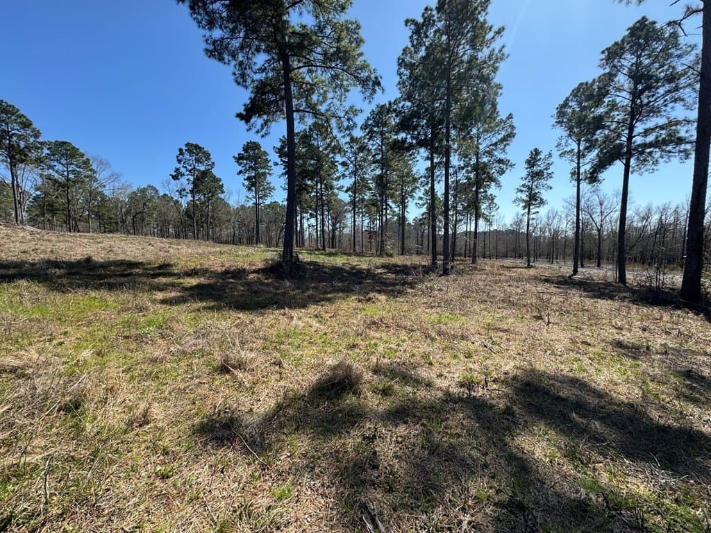 1.5 acres in Texas County featured view