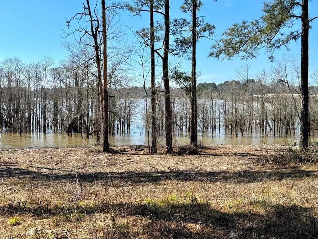 1.5 acres in Texas County