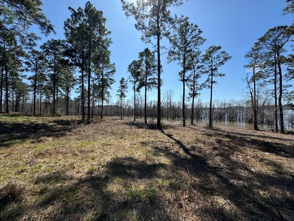 1.5 acres in Texas County gallery image 2