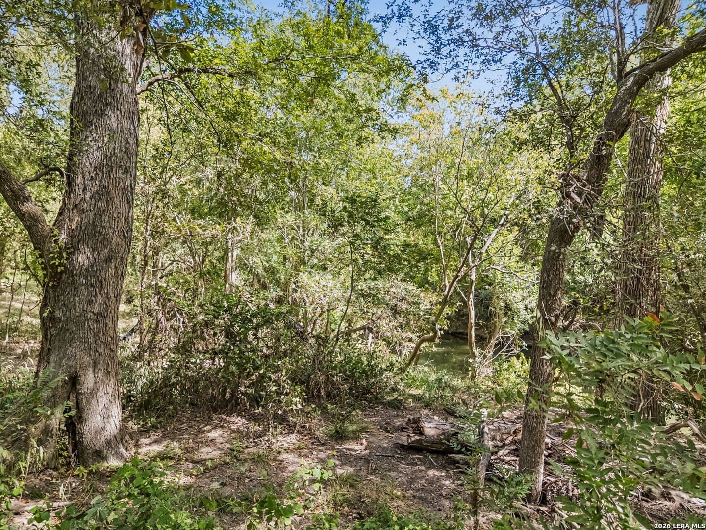 3.8 acres in Wilson County - photo 3
