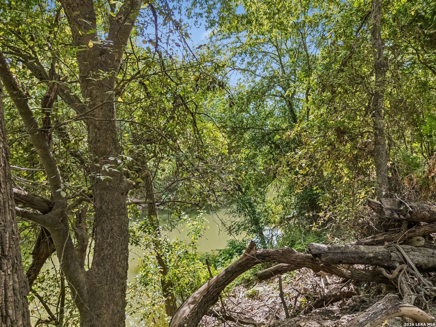 3.8 acres in Wilson County - photo 4