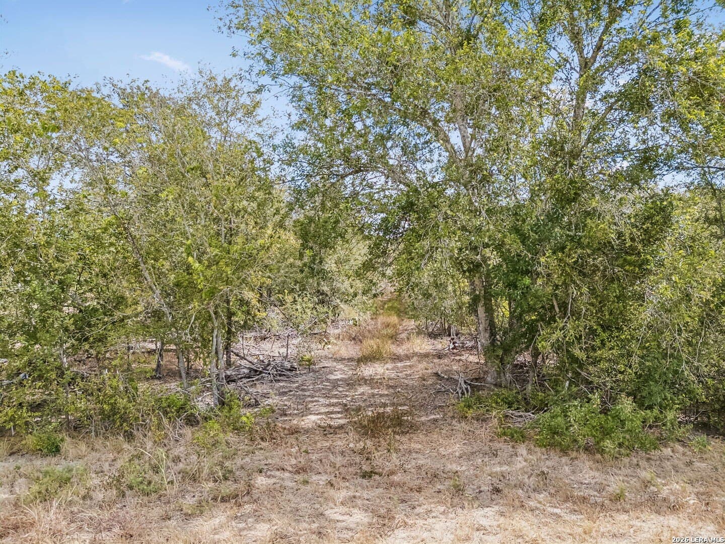 3.8 acres in Wilson County - photo 7