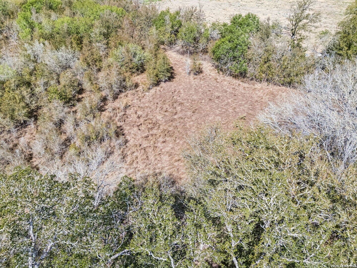 3.8 acres in Wilson County - photo 9