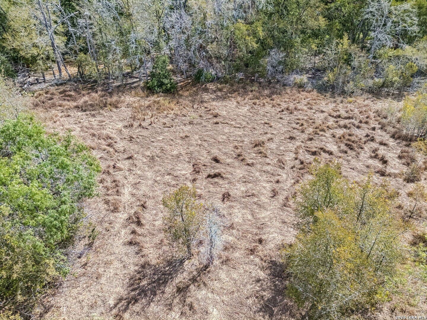 3.8 acres in Wilson County - photo 8