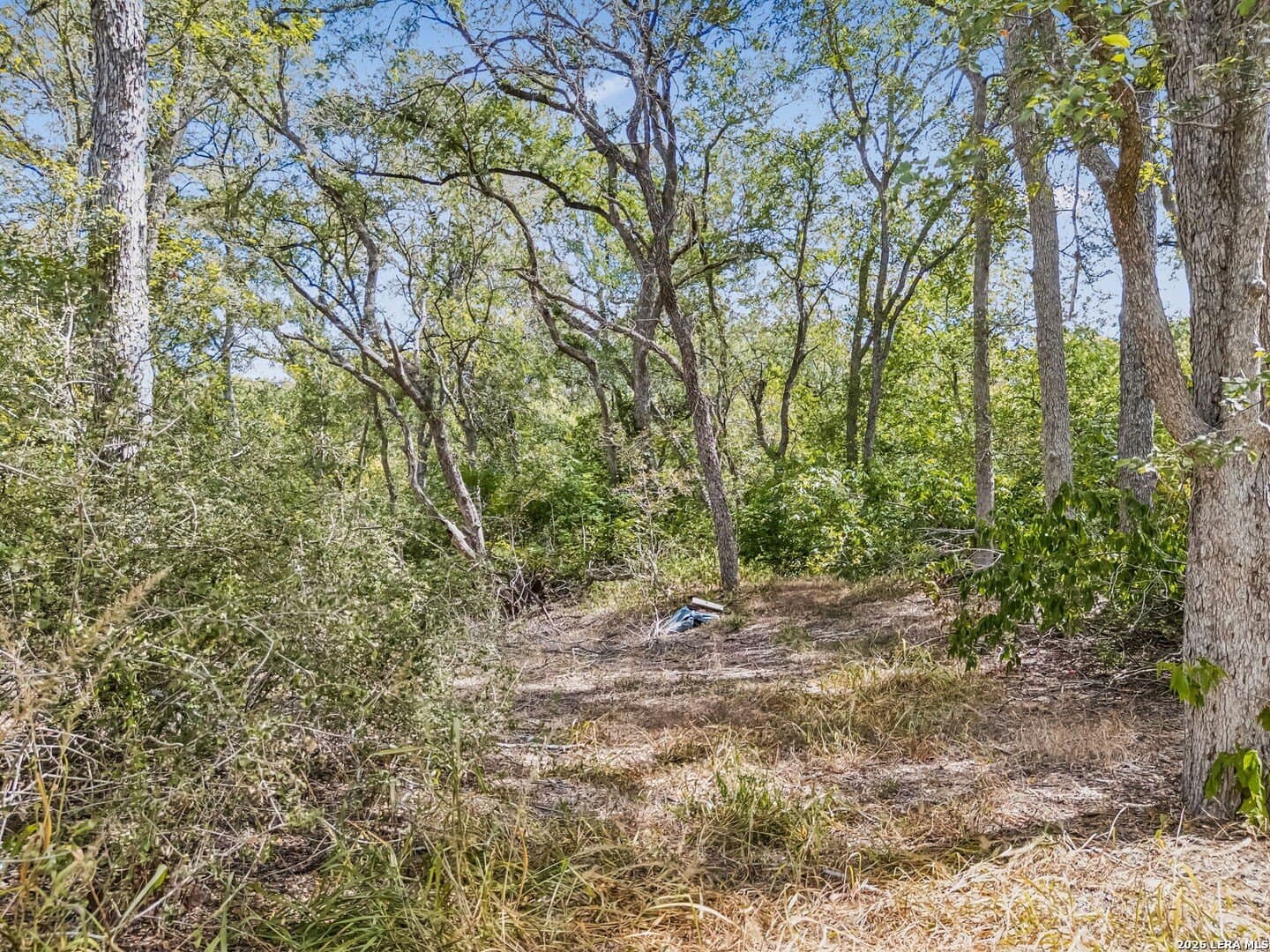 3.8 acres in Wilson County - photo 2