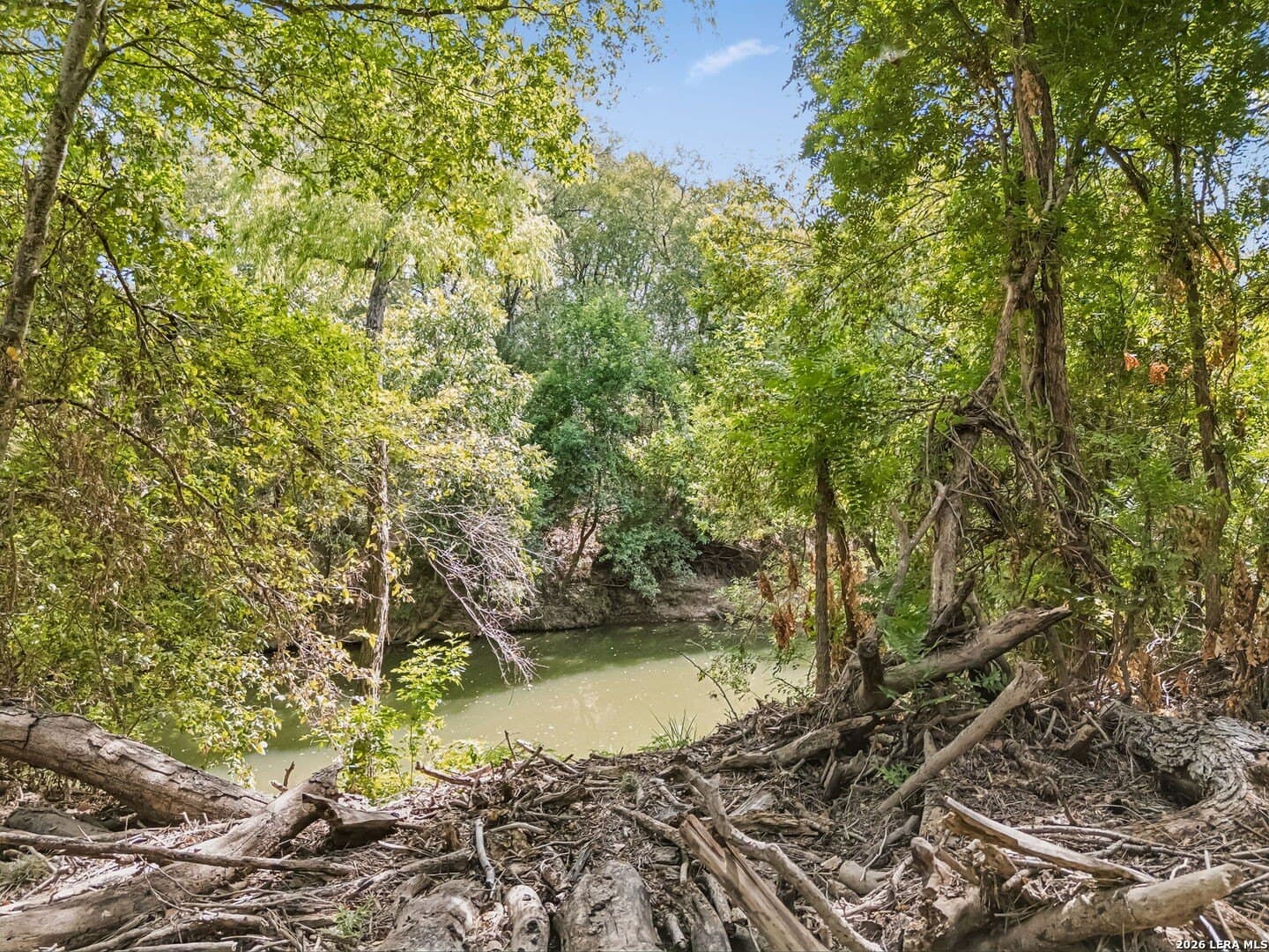 3.8 acres in Wilson County - photo 5