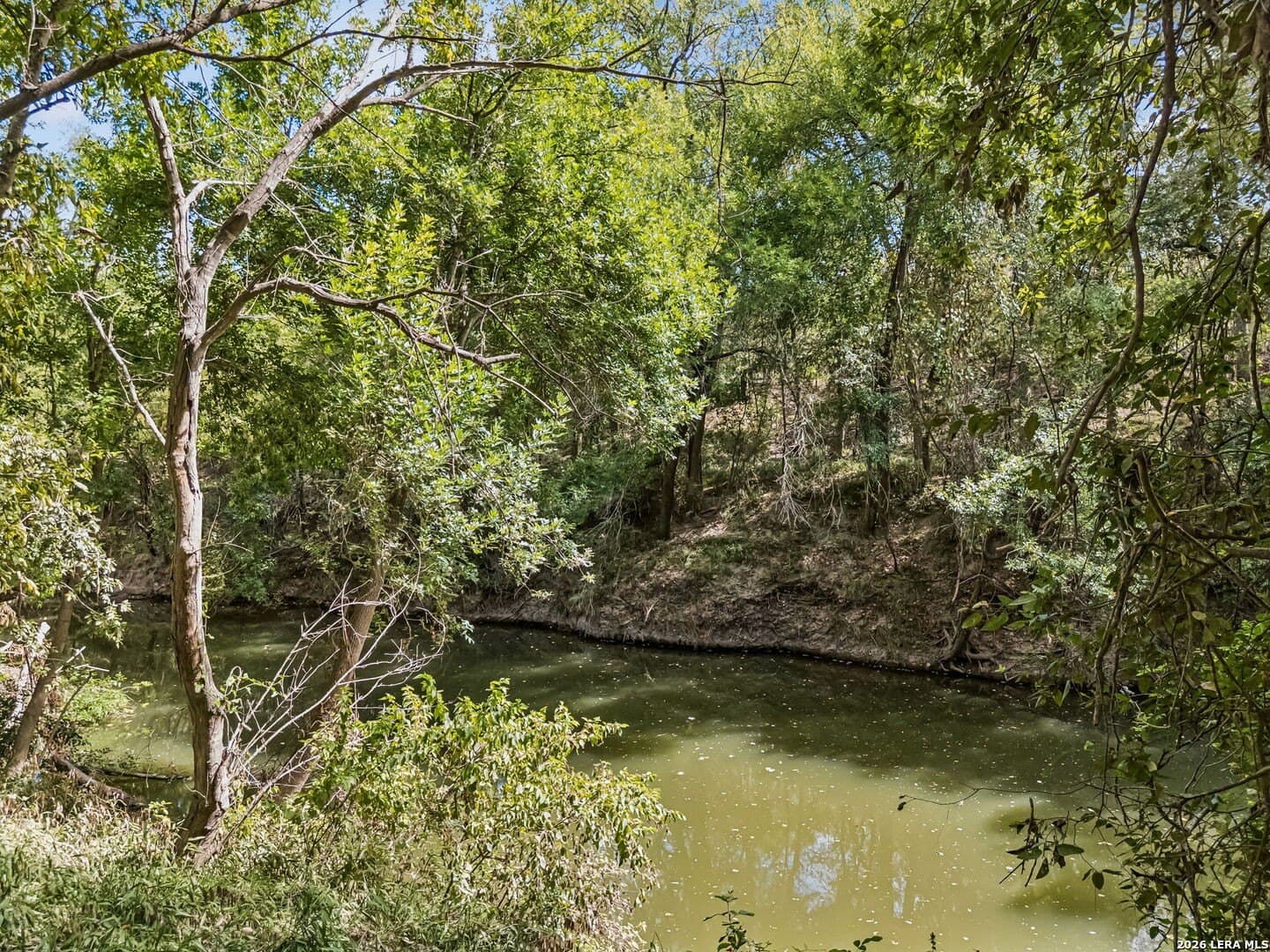 3.8 acres in Wilson County - photo 6