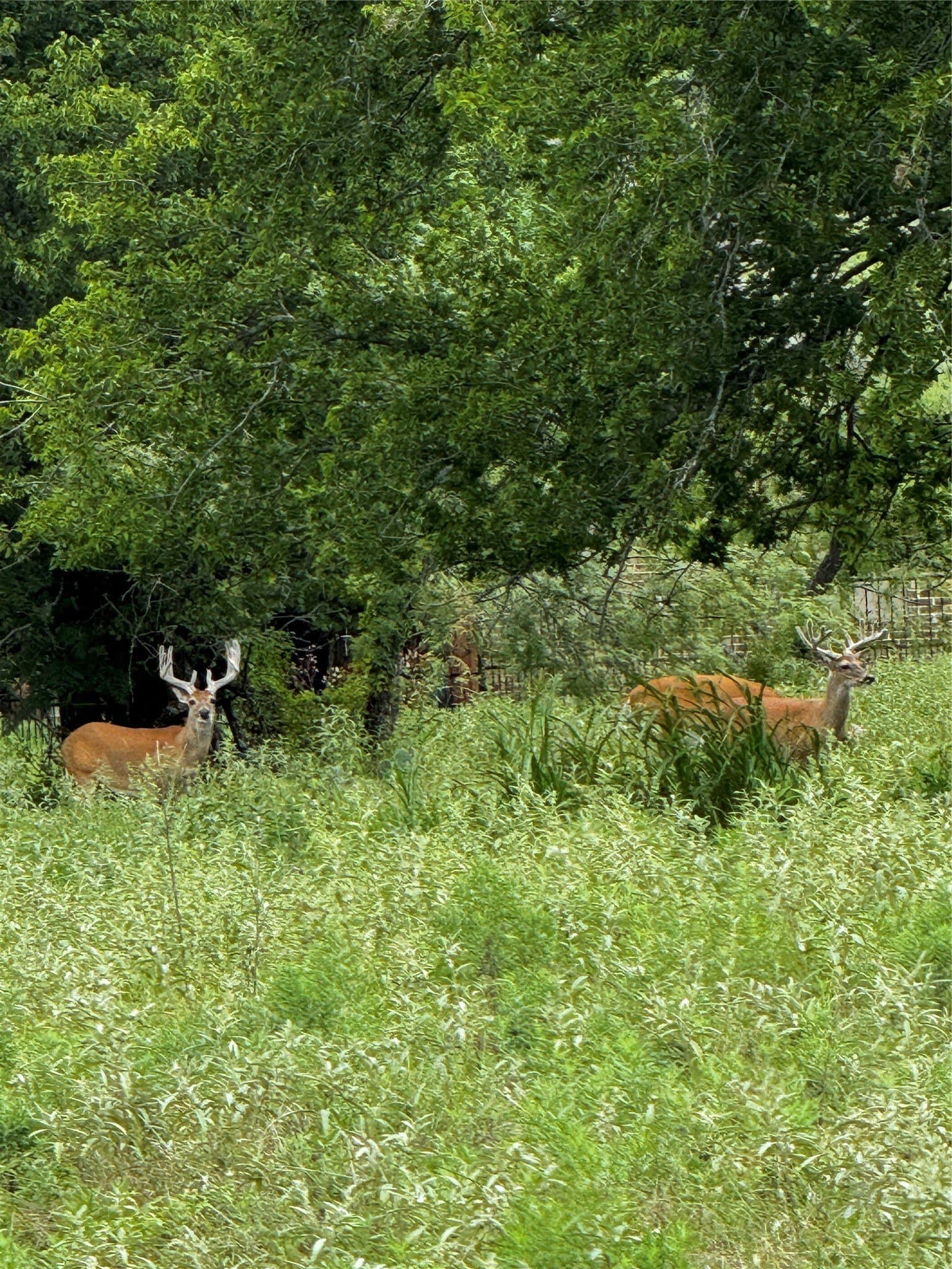 0.25 acres in Hill County gallery image 2