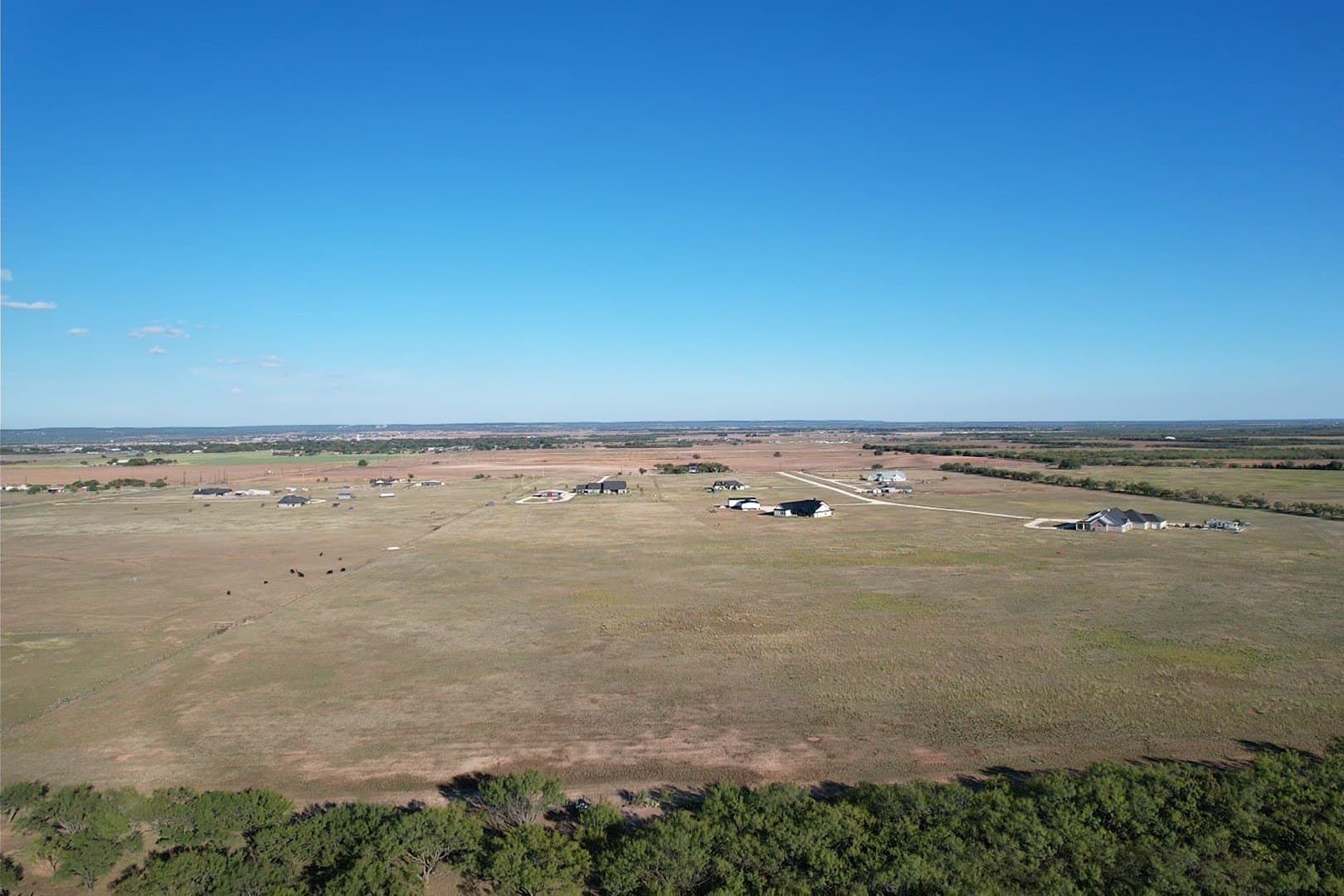 17 acres in Taylor County gallery image 2
