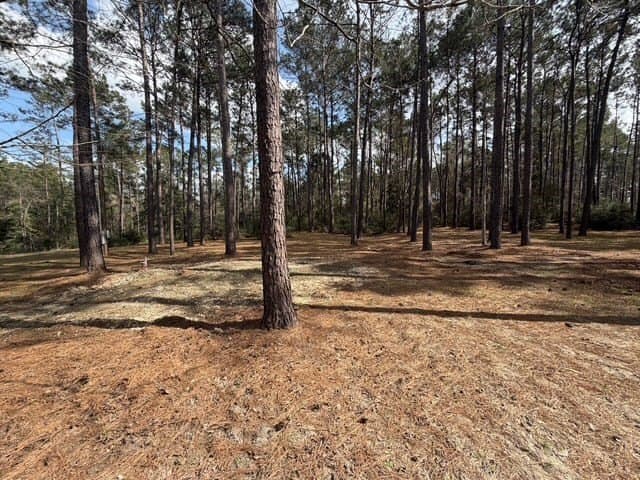 2.1 acres in Texas County - photo 7