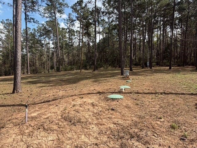 2.1 acres in Texas County - photo 6
