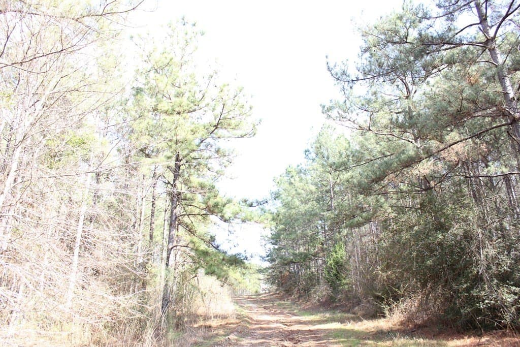 102.38 acres in Texas County - photo 15