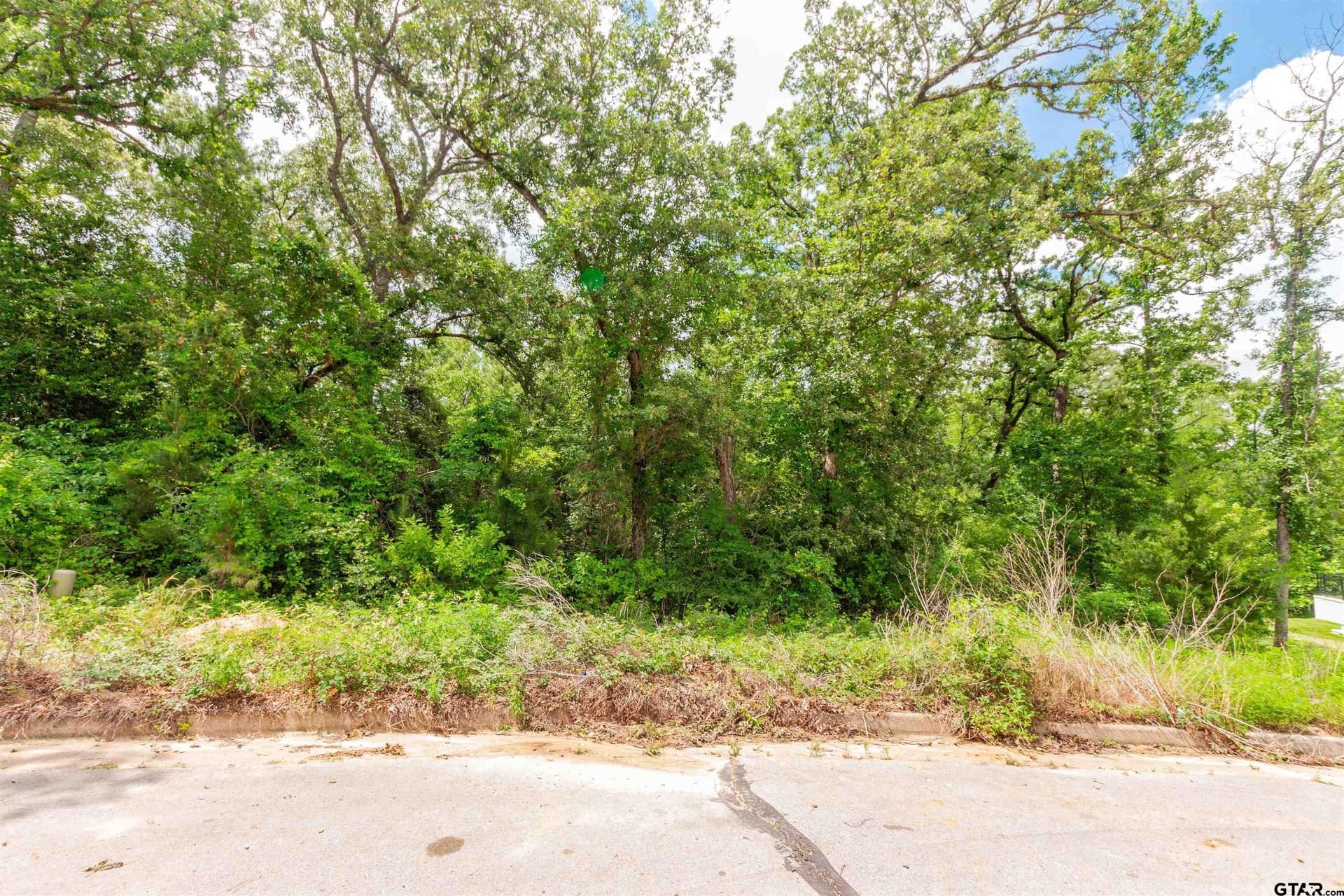 0.84 acres in Smith County gallery image 3
