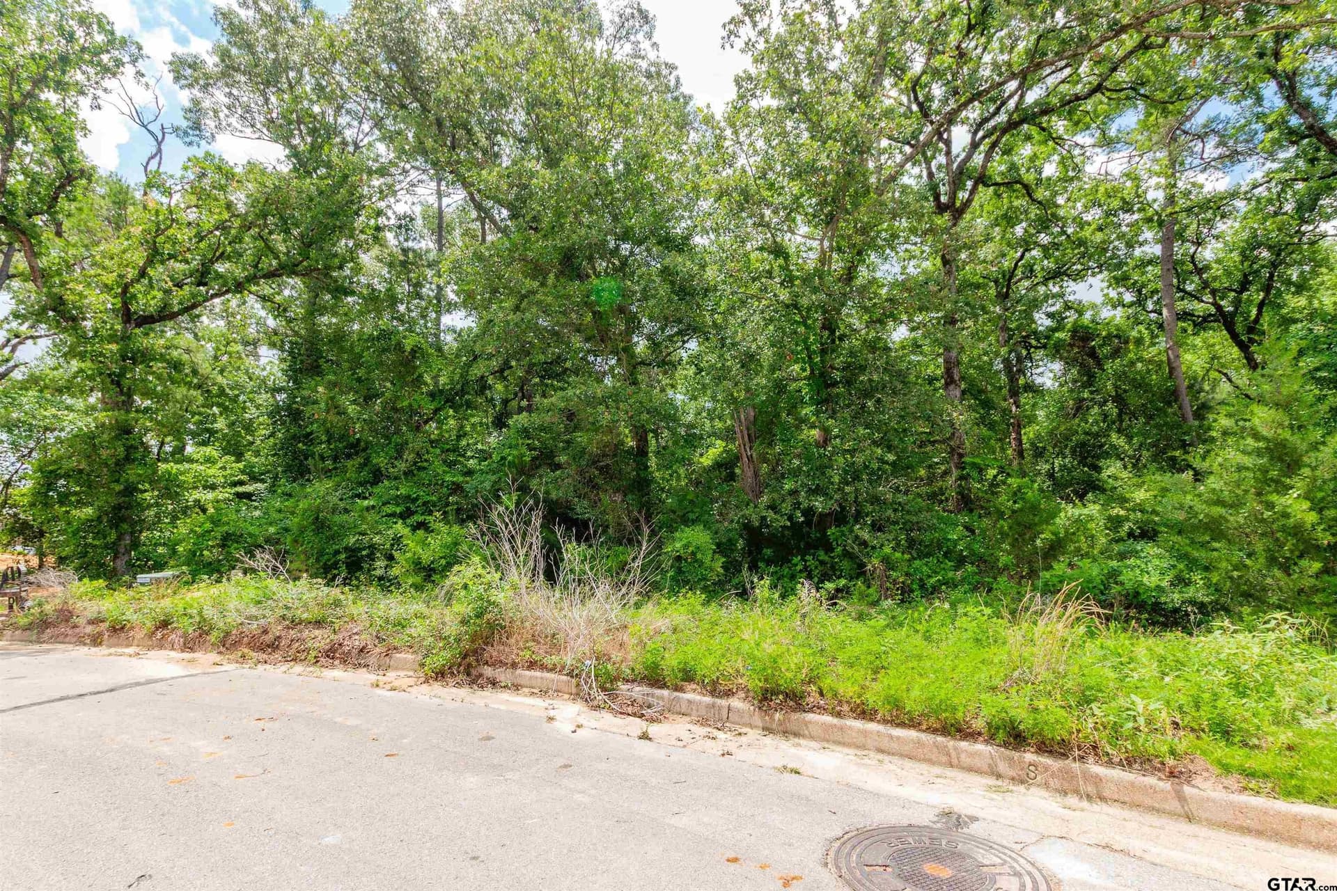 0.84 acres in Smith County gallery image 2
