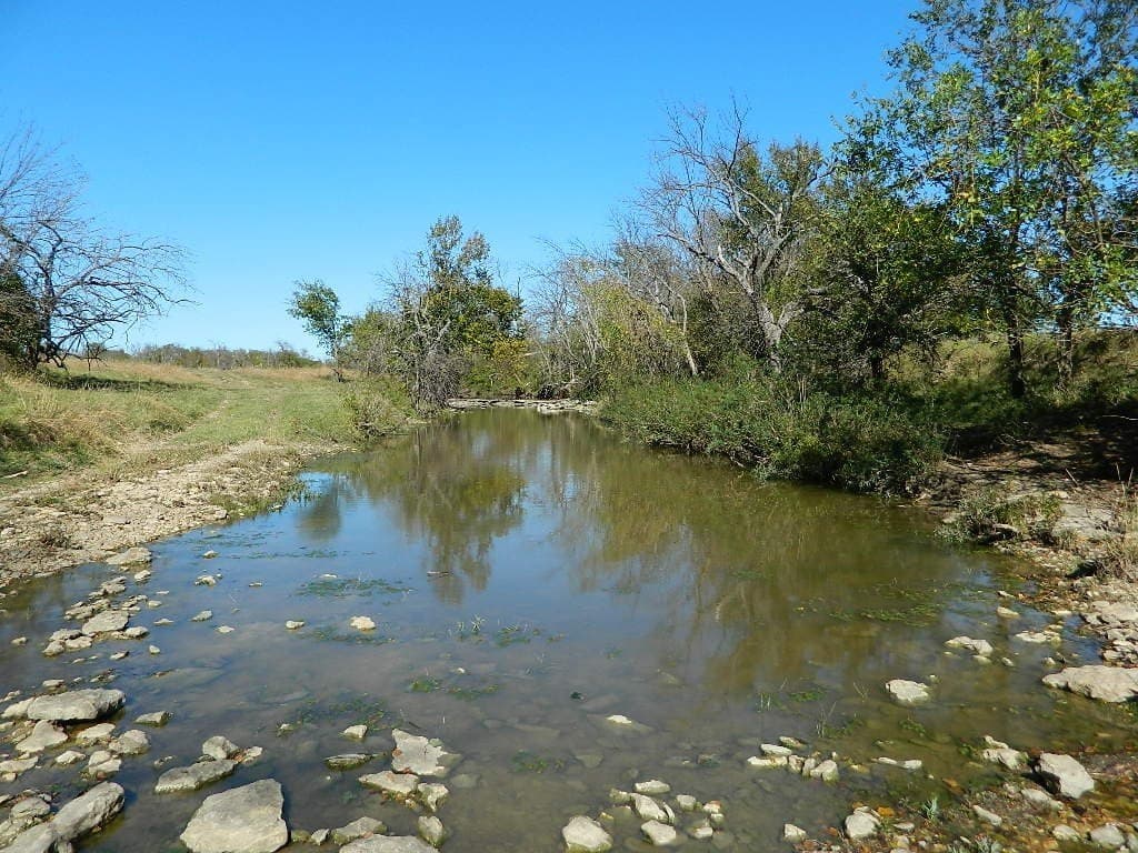 144.3 acres in Cooke County - photo 9