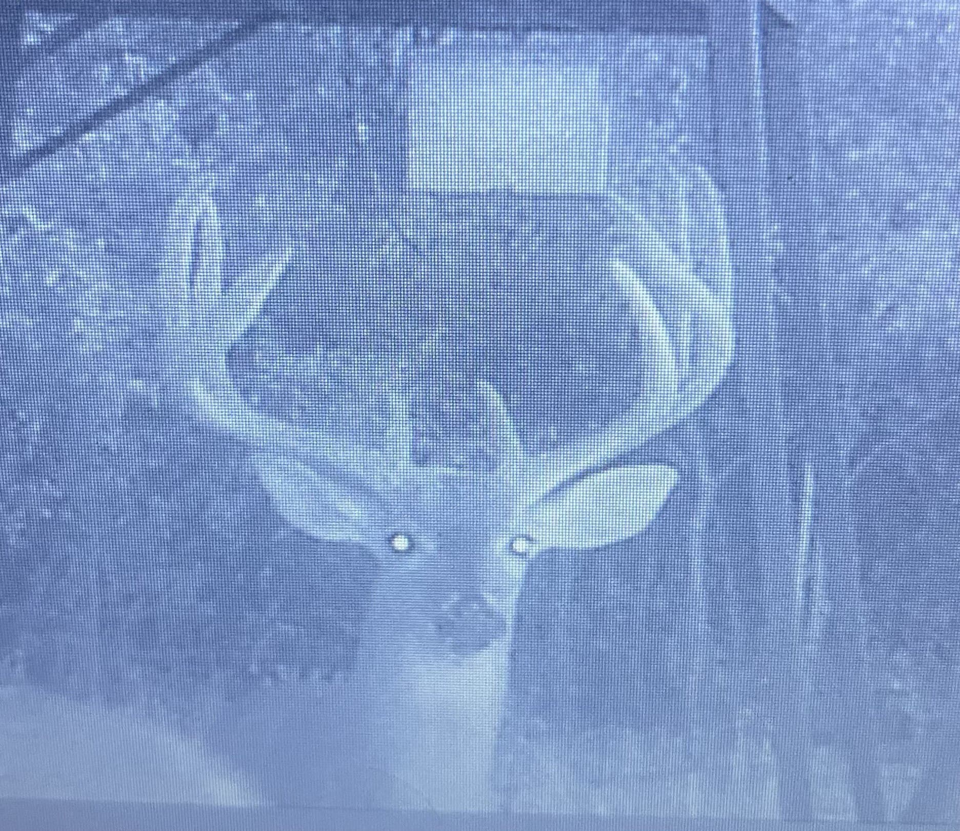 144.3 acres in Cooke County - photo 19