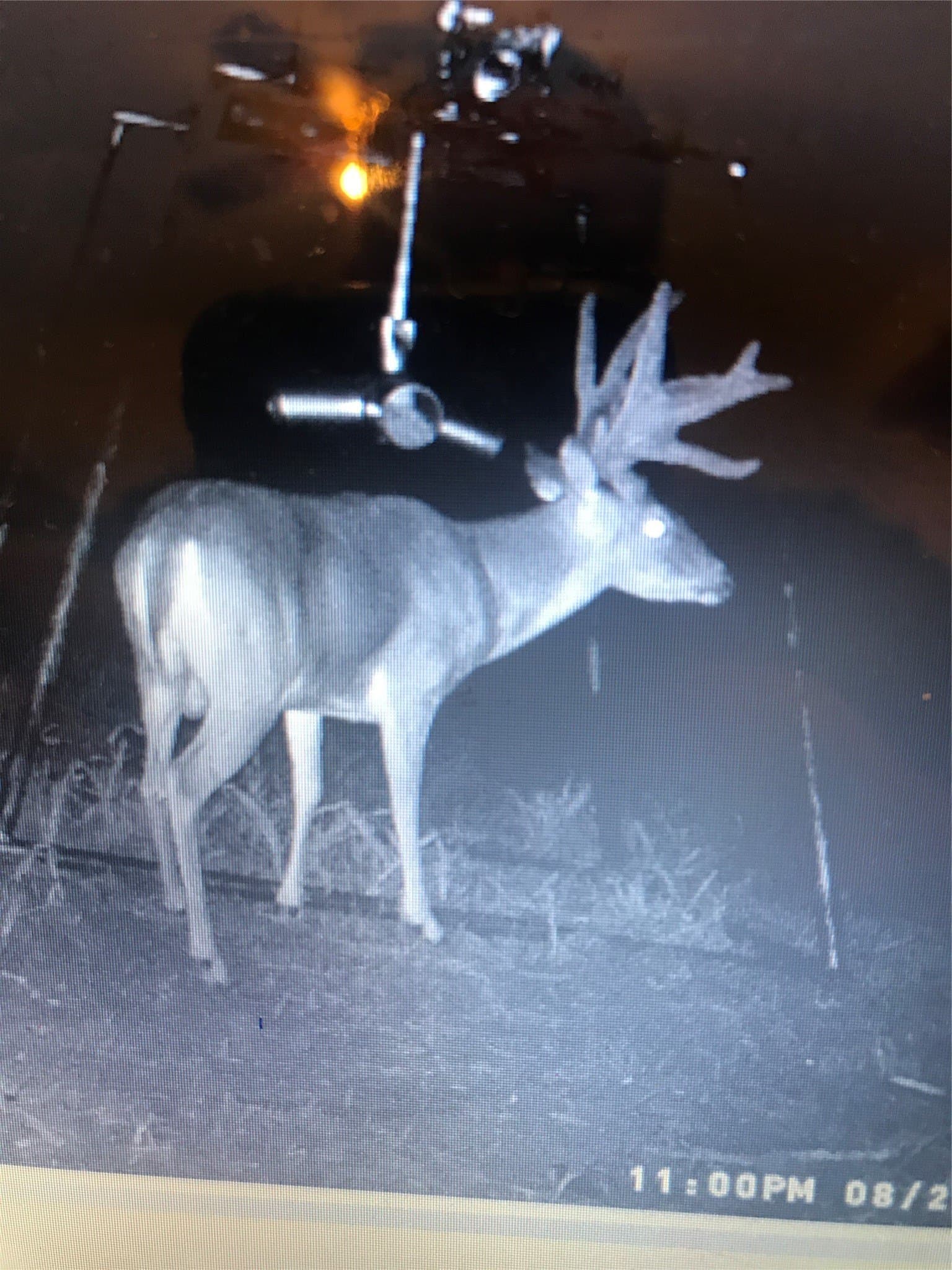 144.3 acres in Cooke County - photo 37
