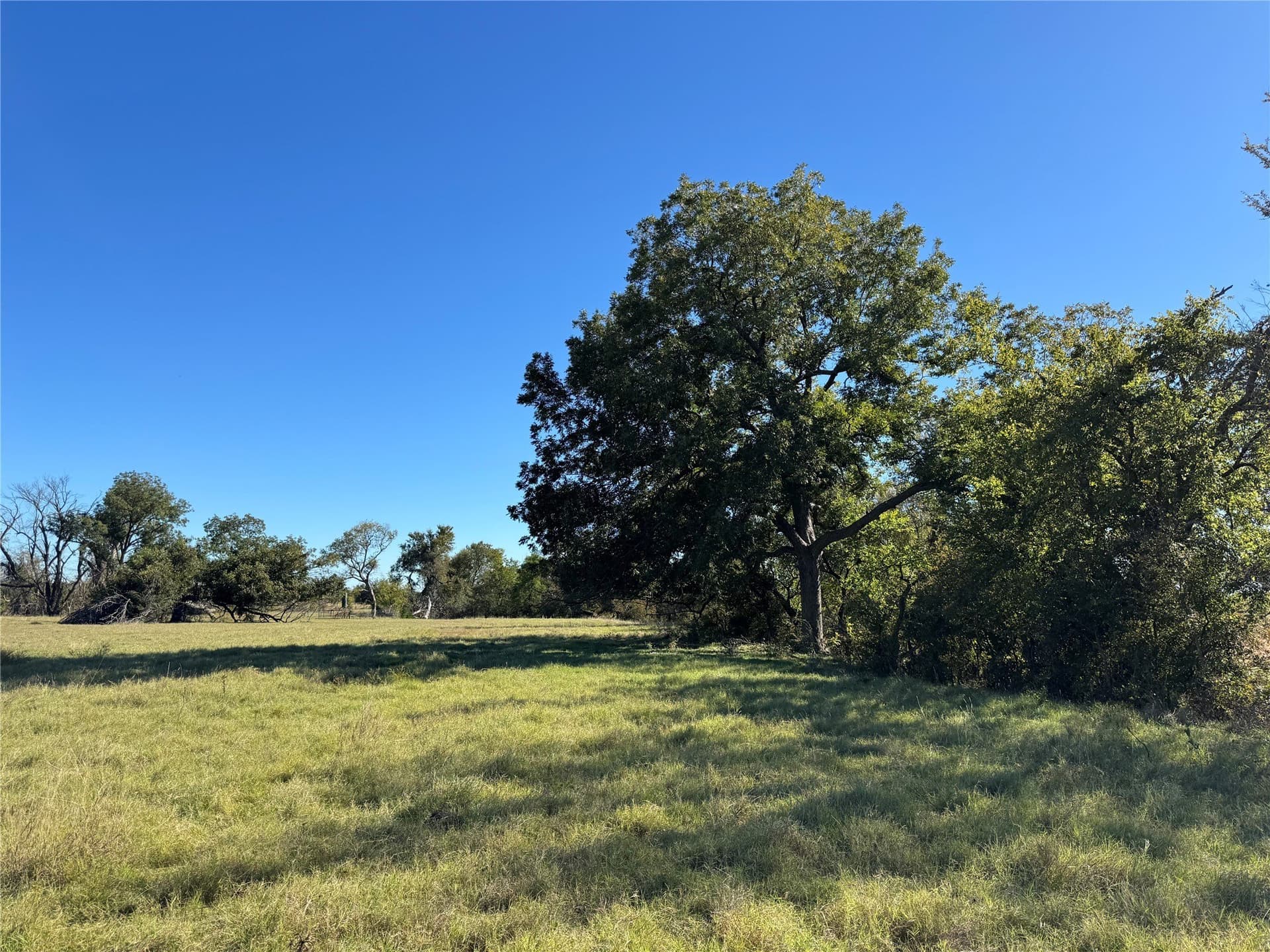 144.3 acres in Cooke County - photo 27