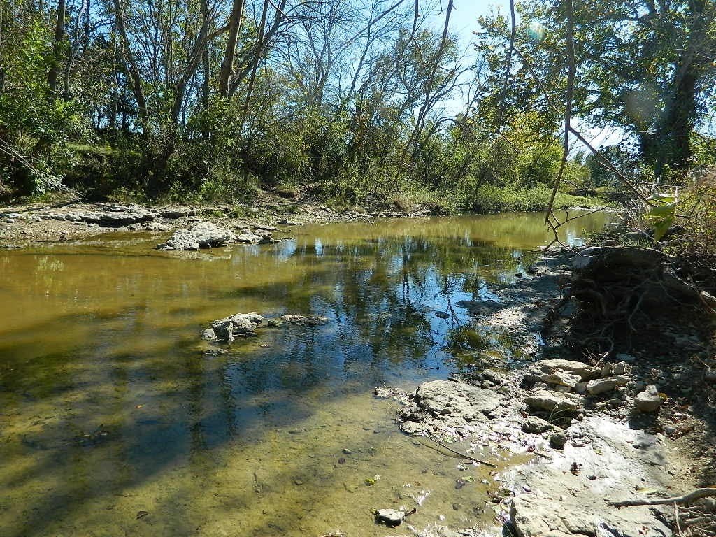 144.3 acres in Cooke County - photo 11